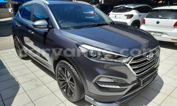 Buy Used Hyundai Tucson Other Car in Gobabis in Omaheke
