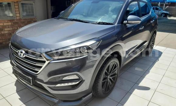 Buy Used Hyundai Tucson Other Car in Gobabis in Omaheke Buy Used Hyundai Tucson Other Car in Gobabis in Omaheke