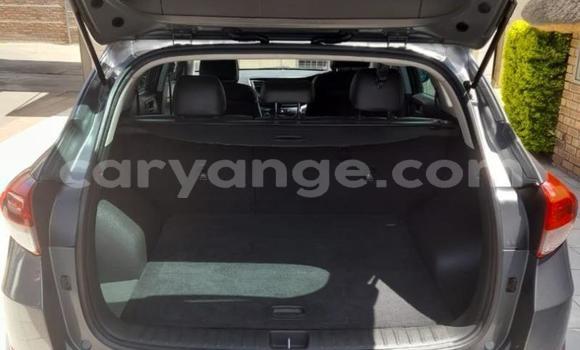 Buy Used Hyundai Tucson Other Car in Gobabis in Omaheke Buy Used Hyundai Tucson Other Car in Gobabis in Omaheke