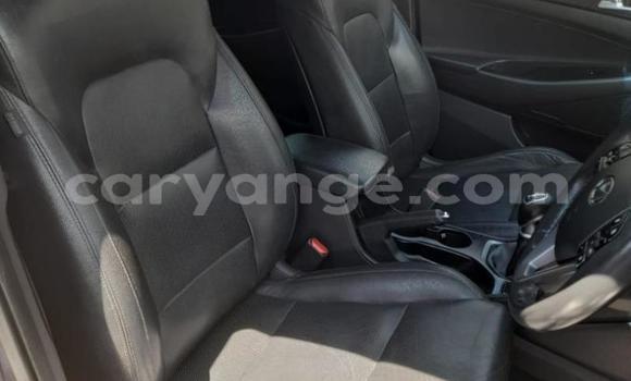 Buy Used Hyundai Tucson Other Car in Gobabis in Omaheke Buy Used Hyundai Tucson Other Car in Gobabis in Omaheke