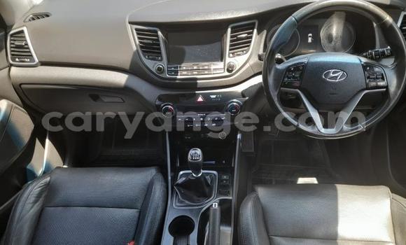 Buy Used Hyundai Tucson Other Car in Gobabis in Omaheke Buy Used Hyundai Tucson Other Car in Gobabis in Omaheke