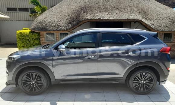 Buy Used Hyundai Tucson Other Car in Gobabis in Omaheke Buy Used Hyundai Tucson Other Car in Gobabis in Omaheke