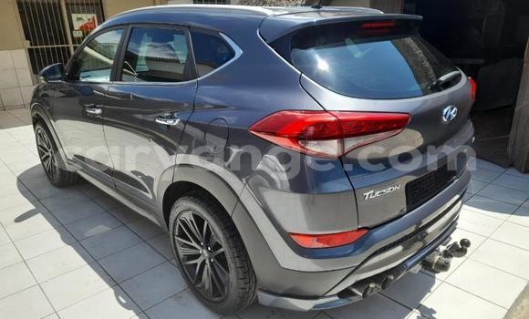 Buy Used Hyundai Tucson Other Car in Gobabis in Omaheke Buy Used Hyundai Tucson Other Car in Gobabis in Omaheke