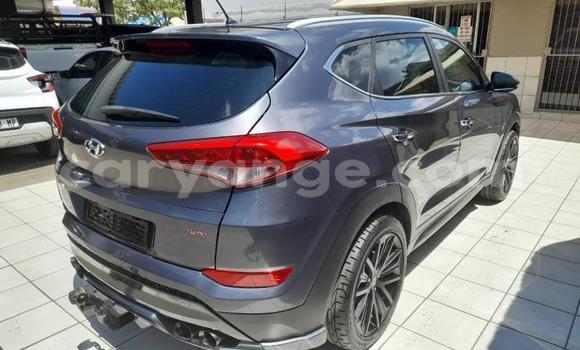 Buy Used Hyundai Tucson Other Car in Gobabis in Omaheke Buy Used Hyundai Tucson Other Car in Gobabis in Omaheke