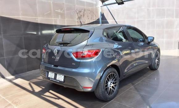 Acheter Occasion Voiture Renault Clio Autre à Gobabis, Omaheke Acheter Occasion Voiture Renault Clio Autre à Gobabis, Omaheke