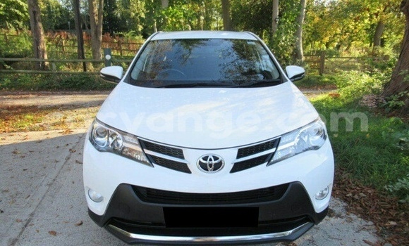 Buy Used Toyota RAV4 White Car in Walvis Bay in Namibia Buy Used Toyota RAV4 White Car in Walvis Bay in Namibia