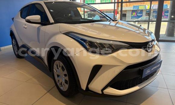 Buy Used Toyota C-HR White Car in Gobabis in Omaheke