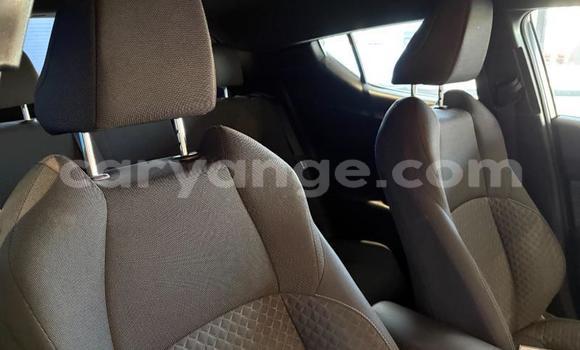 Acheter Occasion Voiture Toyota C-HR Blanc à Gobabis, Omaheke Acheter Occasion Voiture Toyota C-HR Blanc à Gobabis, Omaheke