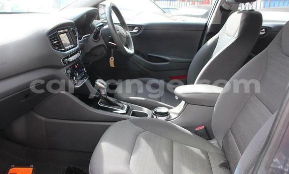 Buy Used Hyundai IONIQ Other Car in Grootfontein in Namibia Buy Used Hyundai IONIQ Other Car in Grootfontein in Namibia
