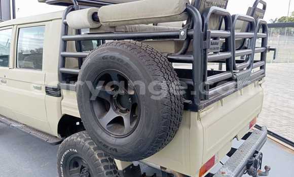 Buy Used Toyota Land Cruiser Brown Car in Katima Mulilo in Caprivi Buy Used Toyota Land Cruiser Brown Car in Katima Mulilo in Caprivi
