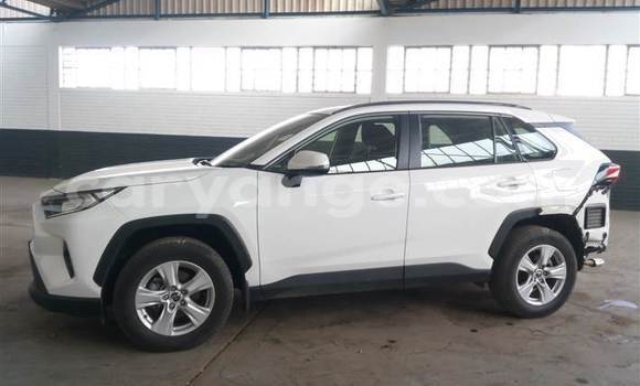 Buy Used Toyota RAV4 White Car in Windhoek in Namibia