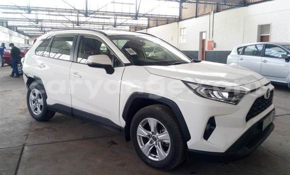 Buy Used Toyota RAV4 White Car in Windhoek in Namibia Buy Used Toyota RAV4 White Car in Windhoek in Namibia