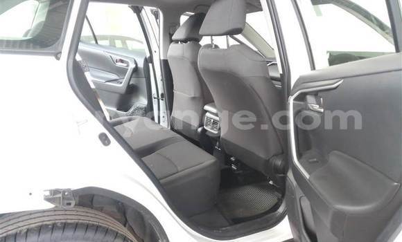 Buy Used Toyota RAV4 White Car in Windhoek in Namibia Buy Used Toyota RAV4 White Car in Windhoek in Namibia