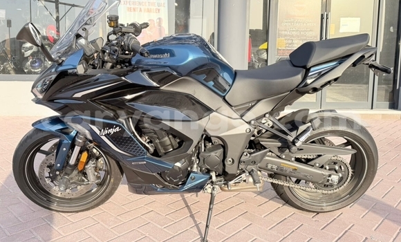 Buy Used Kawasaki Ninja Beige Bike in Windhoek in Namibia