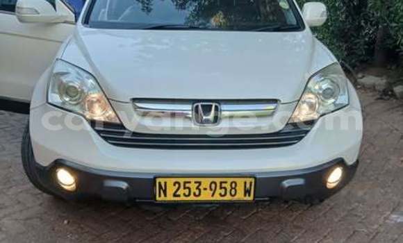 Buy Used Honda CR–V Other Car in Windhoek in Namibia