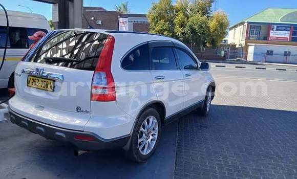 Buy Used Honda CR–V Other Car in Windhoek in Namibia