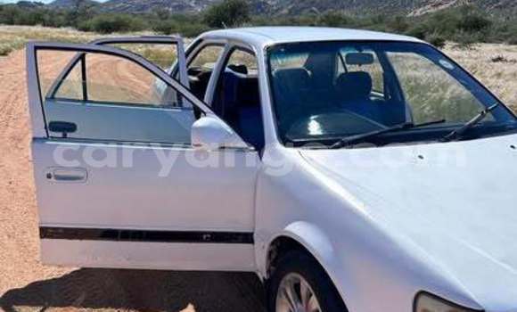 Buy Used Toyota Corolla Other Car in Windhoek in Namibia