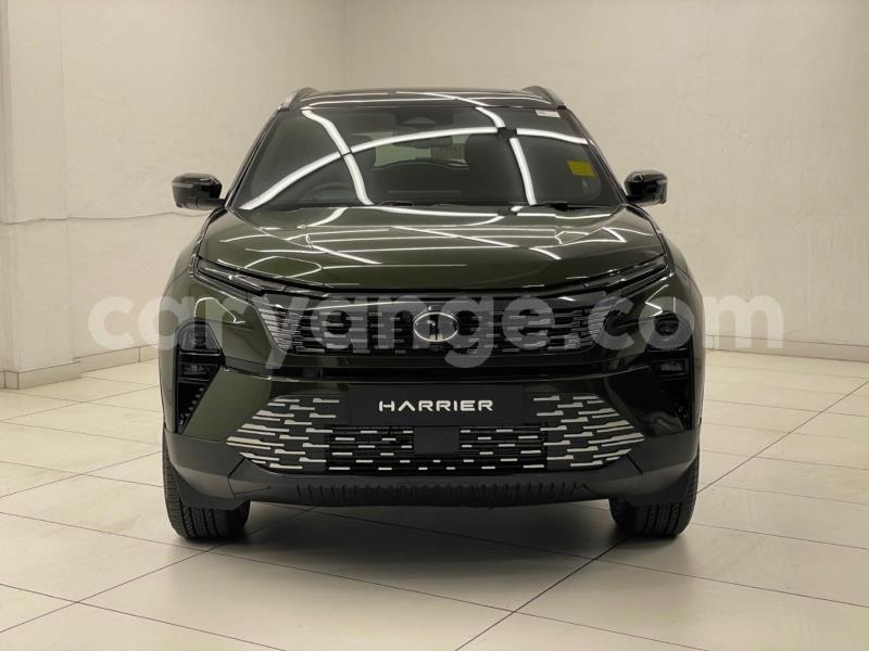 Big with watermark tata xenon kunene arandis 25743
