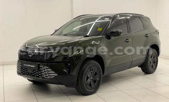 Buy Used Tata Xenon Green Car in Arandis in Kunene Buy Used Tata Xenon Green Car in Arandis in Kunene
