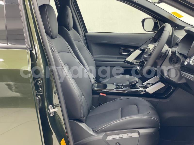 Big with watermark tata xenon kunene arandis 25743