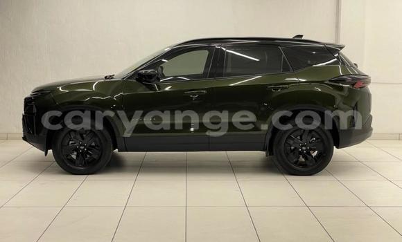 Buy Used Tata Xenon Green Car in Arandis in Kunene Buy Used Tata Xenon Green Car in Arandis in Kunene