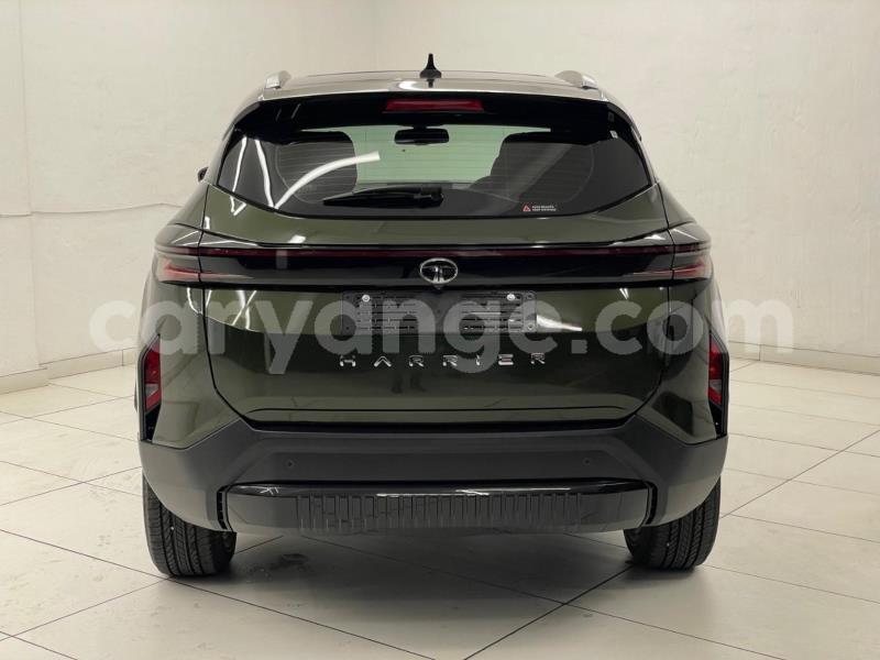 Big with watermark tata xenon kunene arandis 25743