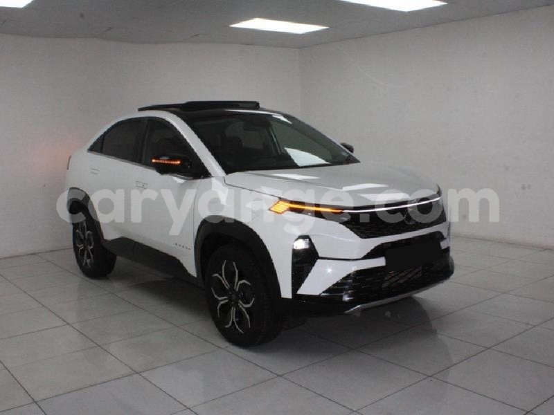 Big with watermark tata sumo karas bethanien 25745