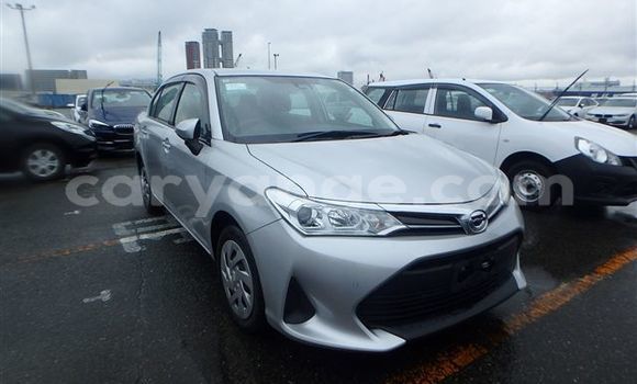 Buy Import Toyota Axio Silver Car in Walvis Bay in Namibia Buy Import Toyota Axio Silver Car in Walvis Bay in Namibia