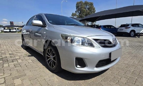 Buy Used Toyota Corolla Silver Car in Walvis Bay in Namibia