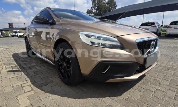 Buy Used Volvo V40 Brown Car in Usakos in Erongo