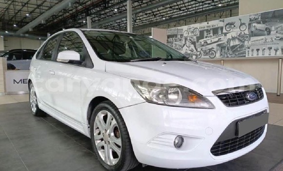 Buy Used Ford Focus White Car in Swakopmund in Namibia