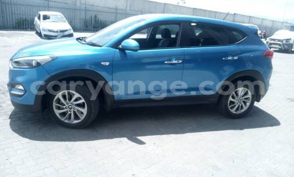 Buy Used Hyundai Tucson Blue Car in Walvis Bay in Namibia
