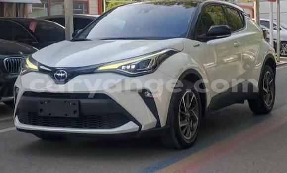 Buy Used Toyota C-HR White Car in Windhoek in Namibia