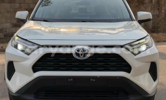 Buy Used Toyota RAV4 White Car in Windhoek in Namibia