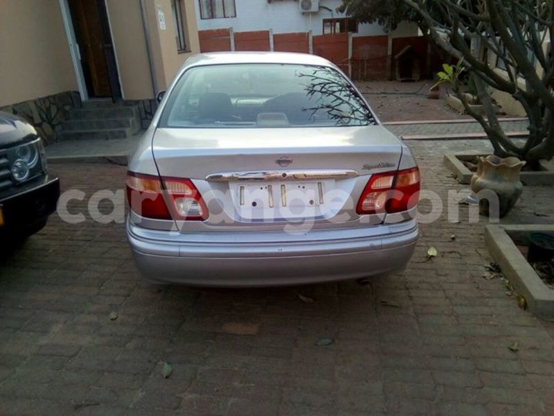 Big with watermark 14232403 934589686646193 5523274578925004365 n