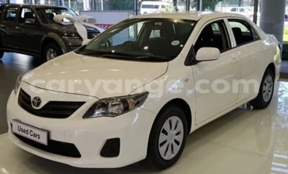 Buy Used Toyota Corolla White Car in Walvis Bay in Namibia Buy Used Toyota Corolla White Car in Walvis Bay in Namibia