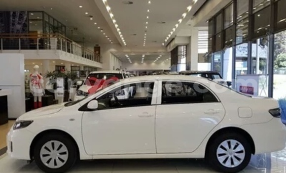 Buy Used Toyota Corolla White Car in Walvis Bay in Namibia Buy Used Toyota Corolla White Car in Walvis Bay in Namibia