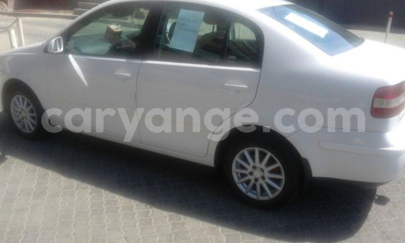 Big with watermark 14222267 147467935702852 5994953269521711437 n