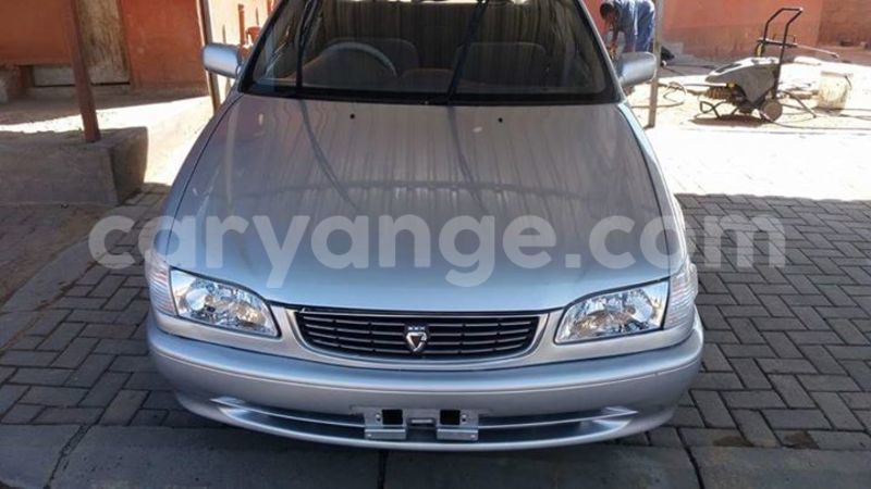 Big with watermark 14222267 147467935702852 5994953269521711437 n