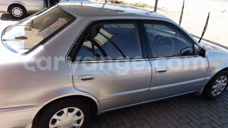 Big with watermark 14232403 934589686646193 5523274578925004365 n