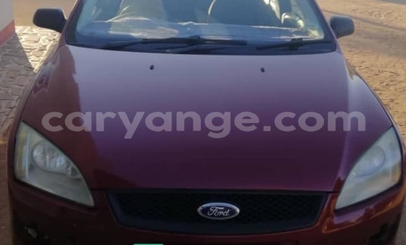 Buy Used Ford Focus Red Car in Windhoek in Namibia Buy Used Ford Focus Red Car in Windhoek in Namibia
