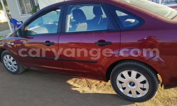 Buy Used Ford Focus Red Car in Windhoek in Namibia Buy Used Ford Focus Red Car in Windhoek in Namibia
