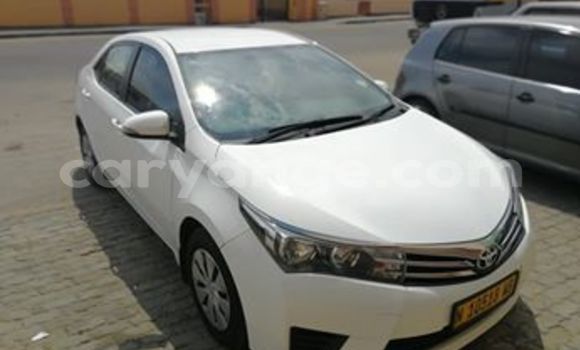 Acheter Occasion Voiture Toyota Corolla Blanc à Windhoek, Namibie Acheter Occasion Voiture Toyota Corolla Blanc à Windhoek, Namibie