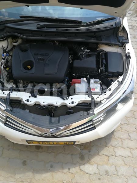 Big with watermark 54515872 2075293979253505 1437295064551260160 n