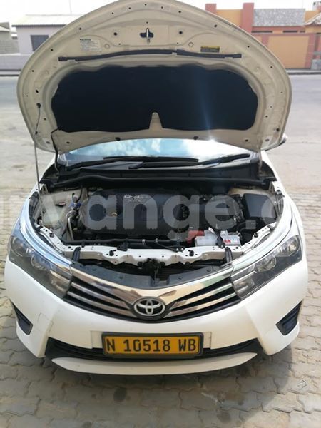 Big with watermark 54353447 2075293945920175 4400093183279628288 n