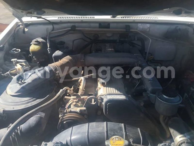 Big with watermark 54398002 2075306069252296 4613417637571985408 n