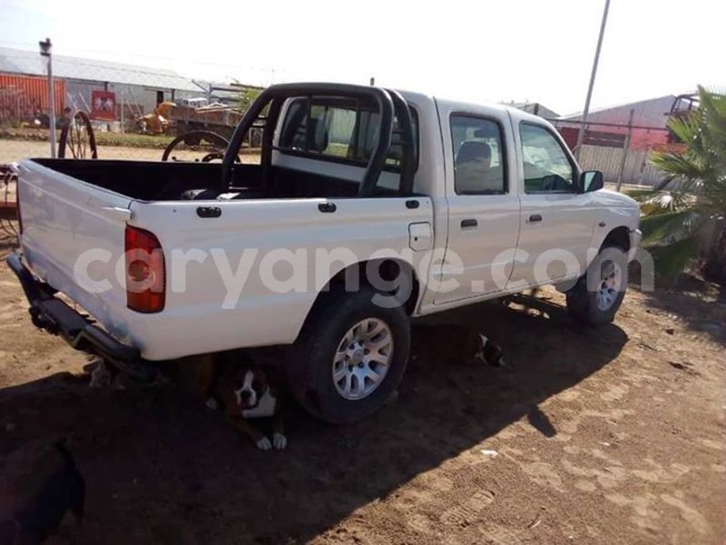 Big with watermark 53400557 2059476777501892 9175902963082723328 n