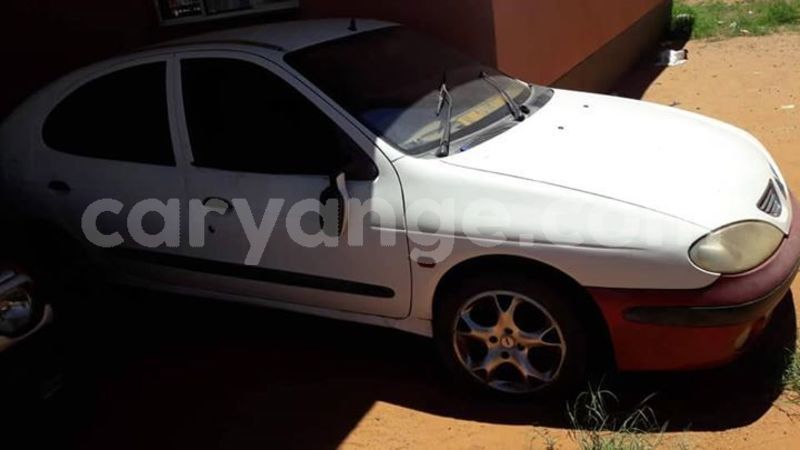 Big with watermark 51969858 2023719944410909 8767754102139518976 n