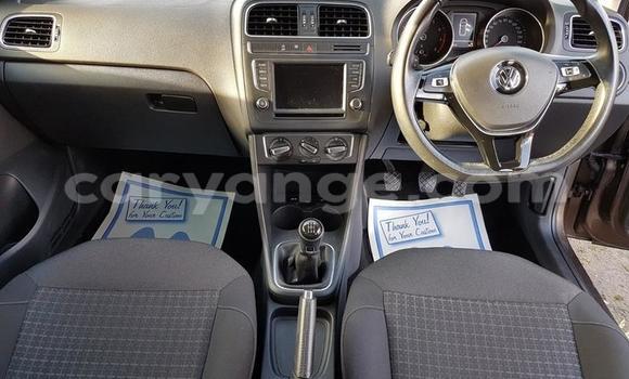 Buy Used Volkswagen Polo Brown Car in Karibib in Erongo Buy Used Volkswagen Polo Brown Car in Karibib in Erongo