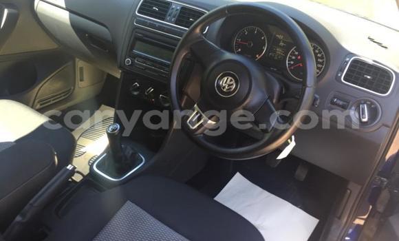 Buy Used Volkswagen Polo Blue Car in Walvis Bay in Namibia Buy Used Volkswagen Polo Blue Car in Walvis Bay in Namibia